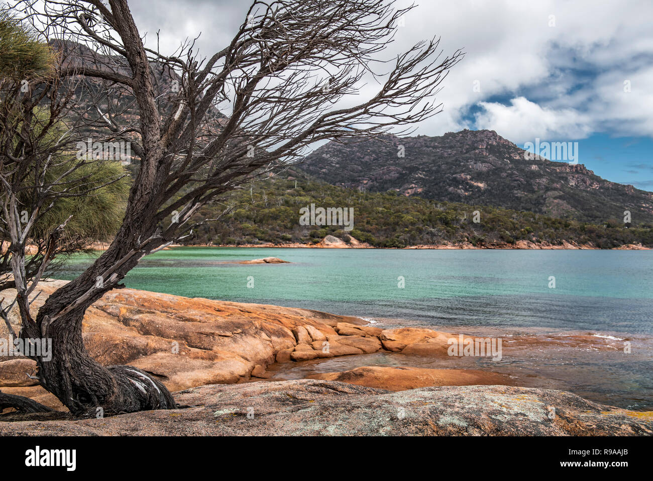 Parc national de Freycinet, Tasmanie, Australie Banque D'Images