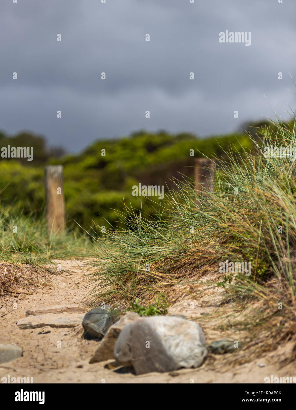 Zone de conservation de SCAMANDER BEACH AUSTRALIE TASMANIE BEAUMARIS Banque D'Images