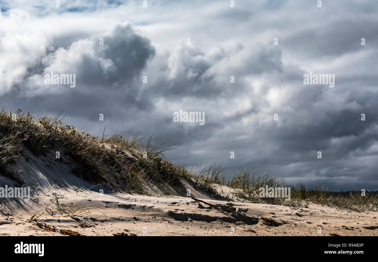 Bay of Fires, Côte Est de la Tasmanie Banque D'Images