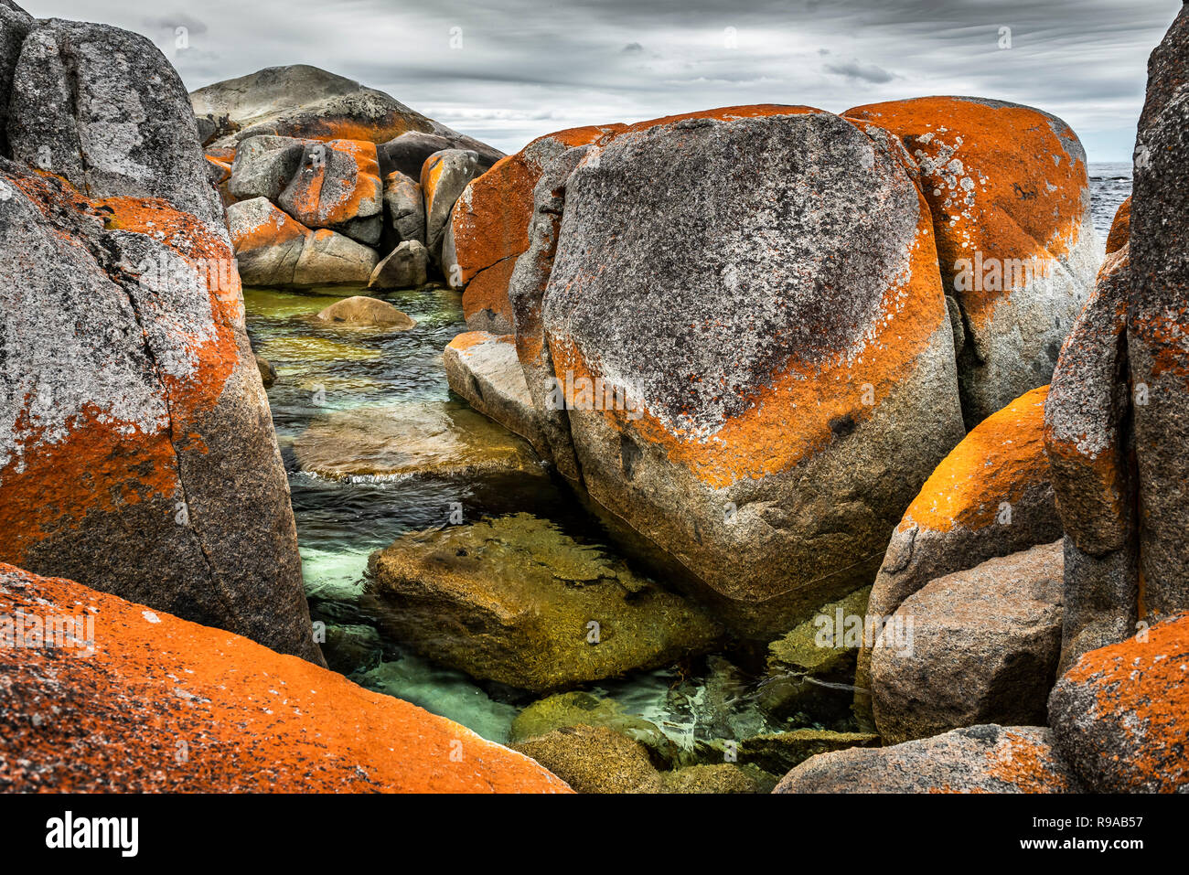 Les jardins, les plages de la baie de forêt, Côte Est de la Tasmanie Banque D'Images