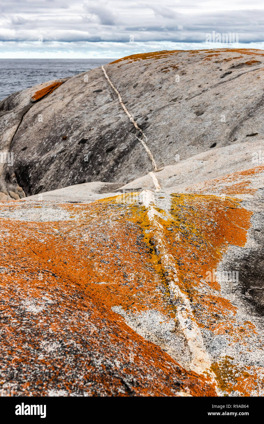 Les jardins, les plages de la baie de forêt, Côte Est de la Tasmanie Banque D'Images