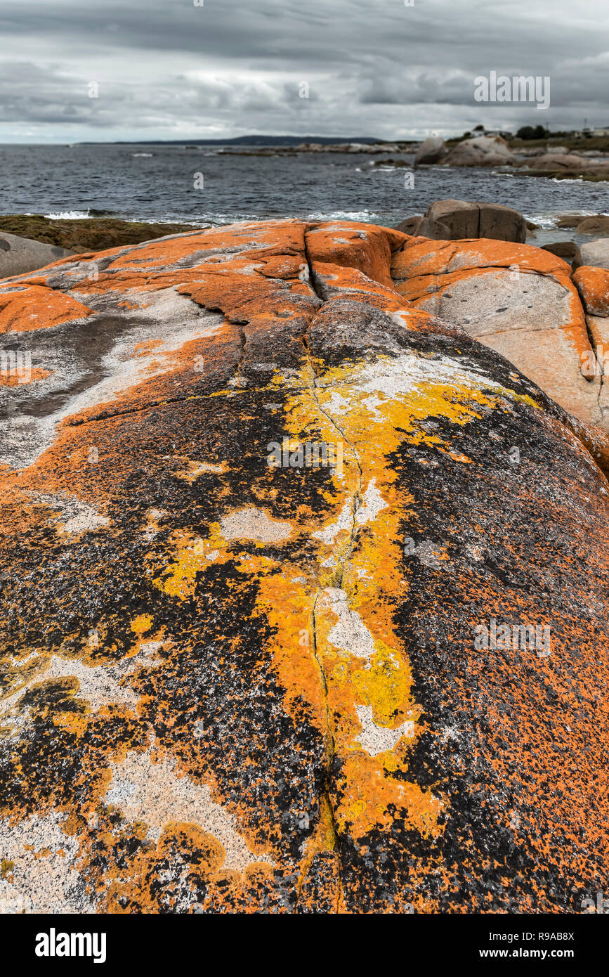 Les jardins, les plages de la baie de forêt, Côte Est de la Tasmanie Banque D'Images
