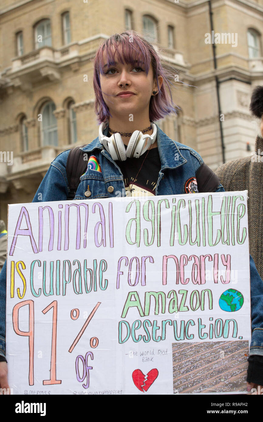 Londres, Royaume-Uni. 21 Décembre, 2018. Rebbelion Extinction protester contre le changement climatique et la façon dont elle est présentée dans les médias crédit : George Cracknell Wright/Alamy Live News Banque D'Images