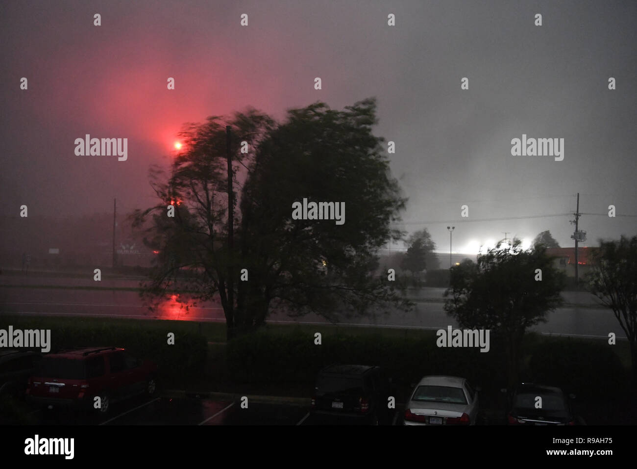 New York, USA. 14Th Sep 2018. Un arbre met en forte tempête comme l'ouragan Florence vient à terre à Wilmington, Caroline du Nord, États-Unis, le 14 septembre, 2018. L'ouragan Florence le vendredi matin) a frappé la côte en Caroline du Nord en catégorie 1 tempête, avec des vents et des pluies. Credit : Liu Jie/Xinhua/Alamy Live News Banque D'Images