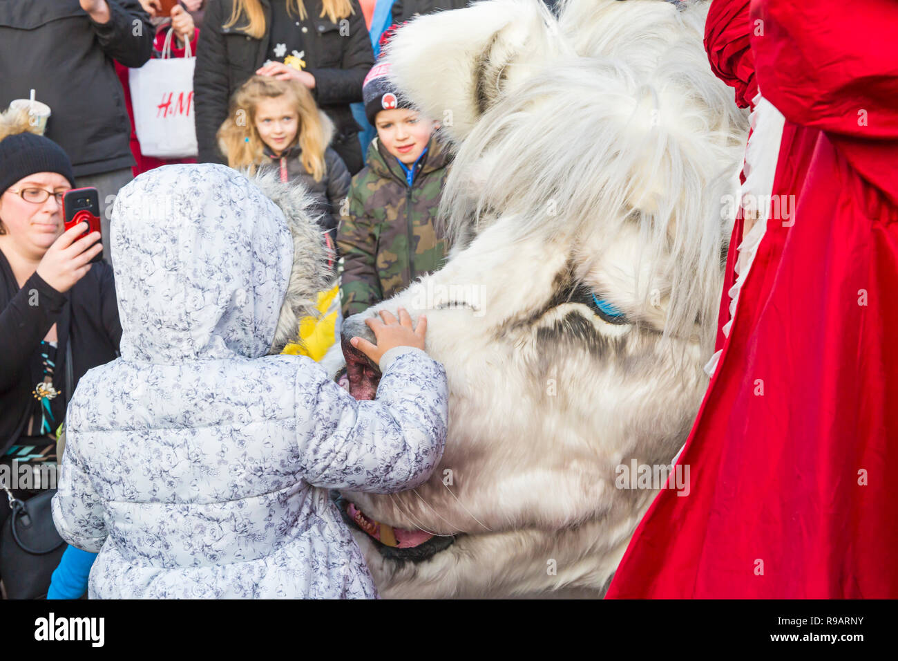 Caressant le lion des neiges Banque de photographies et d’images à
