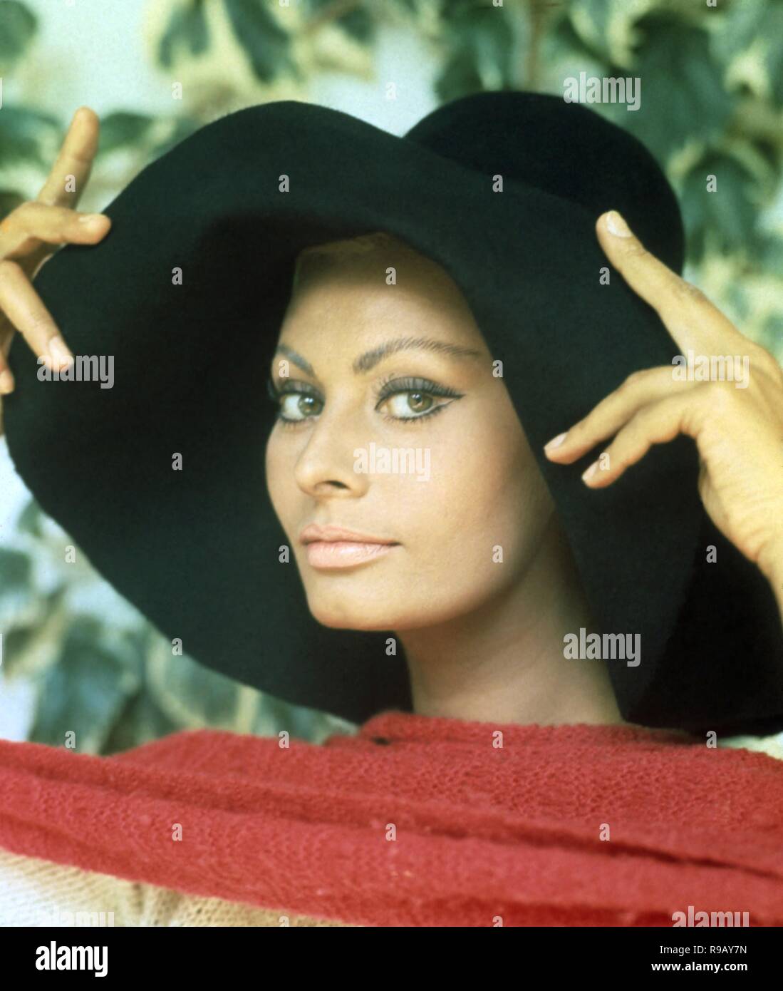 SOPHIA LOREN. 1967. Banque D'Images