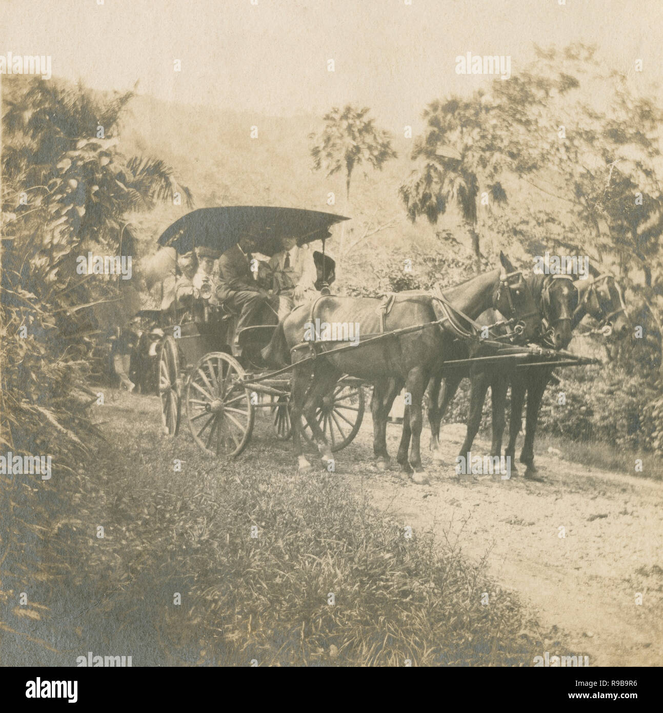 Charbon wagon tiré par des chevaux Photo Stock - Alamy Charbon wagon tiré par des chevaux Photo Stock - Alamy