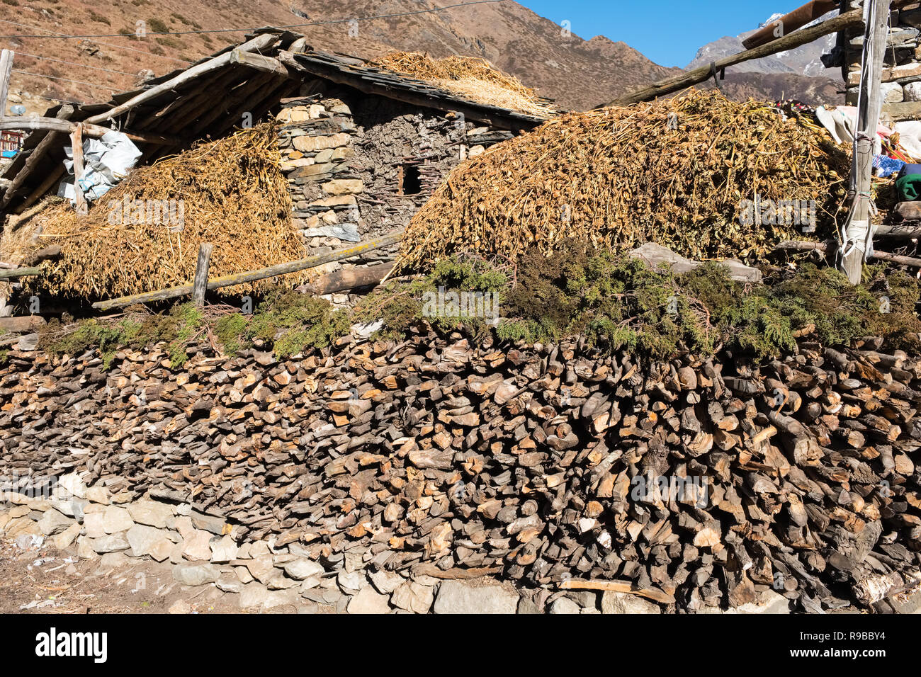 Le village tibétain de Samdo sur le Manaslu trek Circuit est composé de 2 maisons traditionnelles histoire avec le bétail ci-dessous logement Banque D'Images