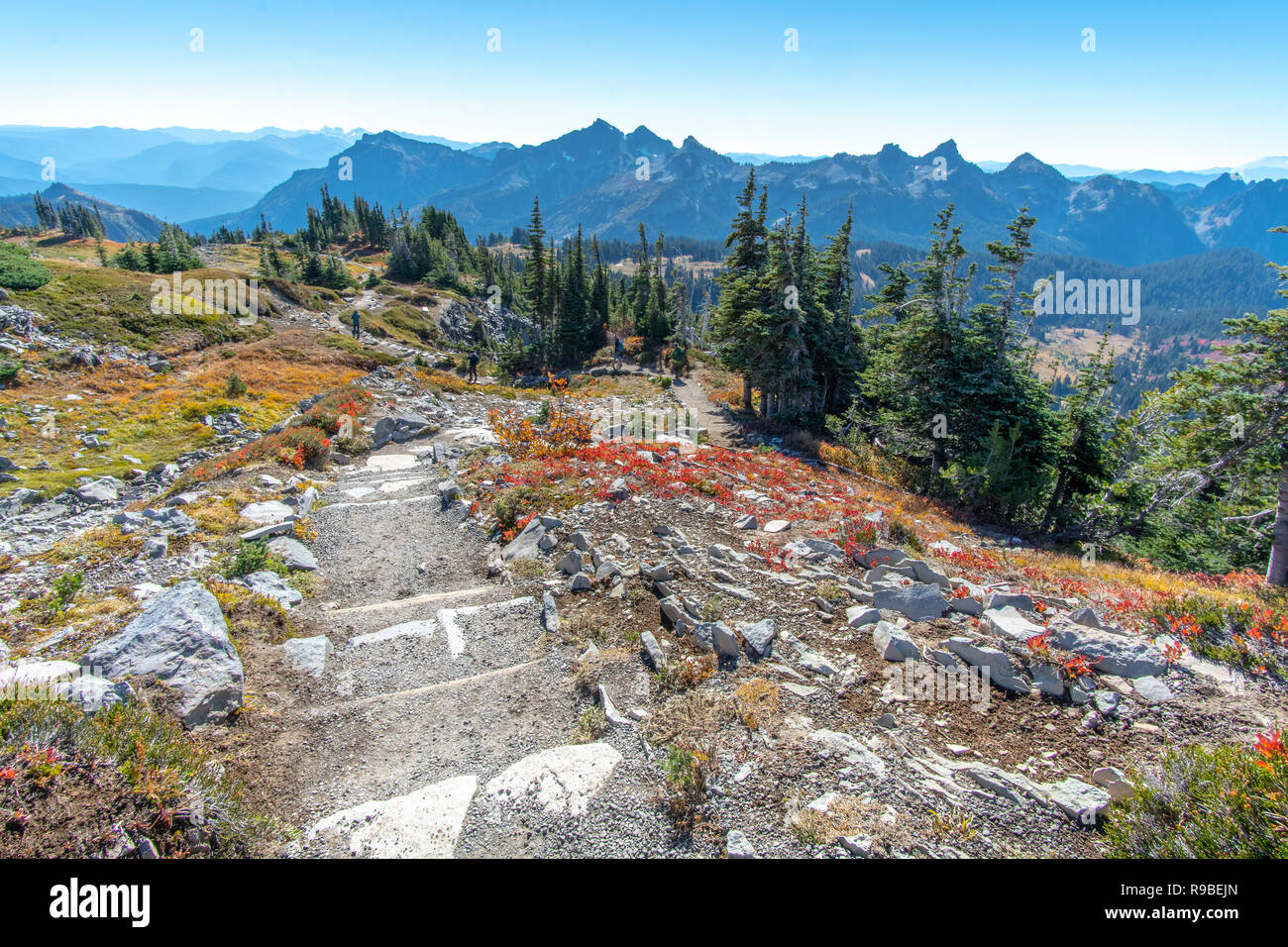Le mont Rainier juste à l'extérieur de Seattle, Washington iwith feuillage de l'automne Banque D'Images