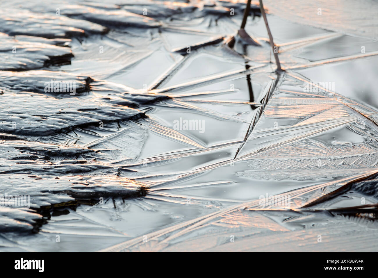 Frasil formes sur surface de l'eau à la rive du lac. Banque D'Images