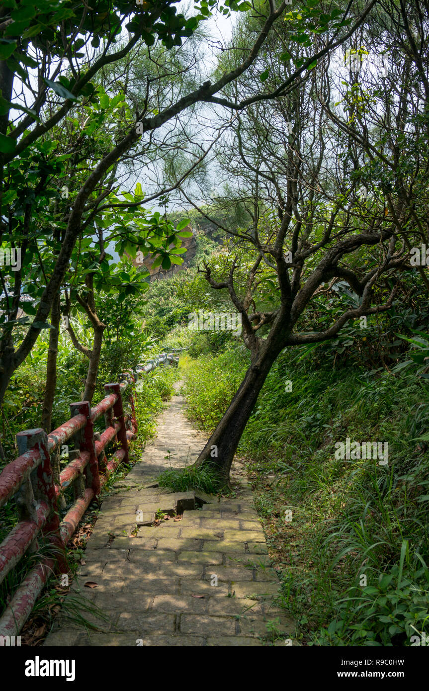 Wayin cachés la jungle entouré de vert de la végétation au cours de l'heure d'été à Taiwan Banque D'Images