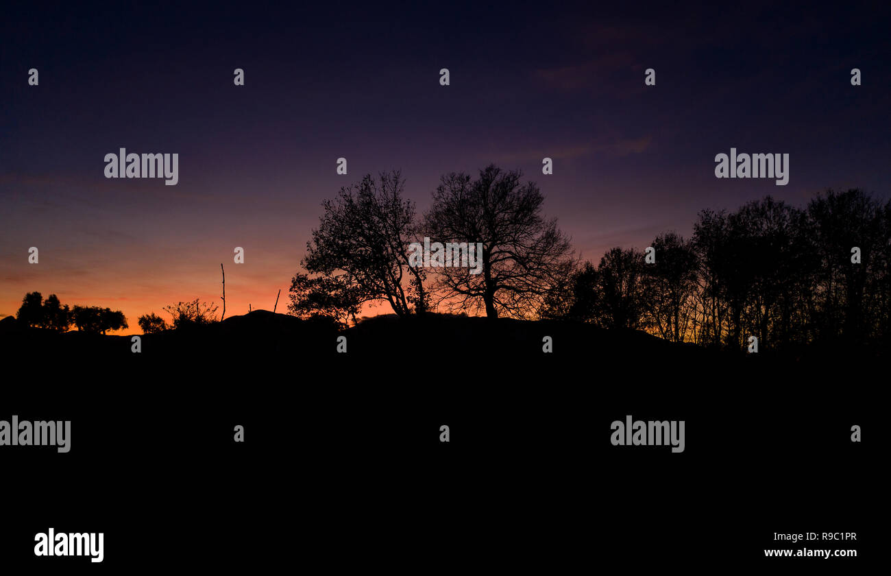 Vue aérienne d'un spectaculaire coucher de soleil derrière des belles montagnes et la silhouette de quelques arbres au premier plan. Banque D'Images