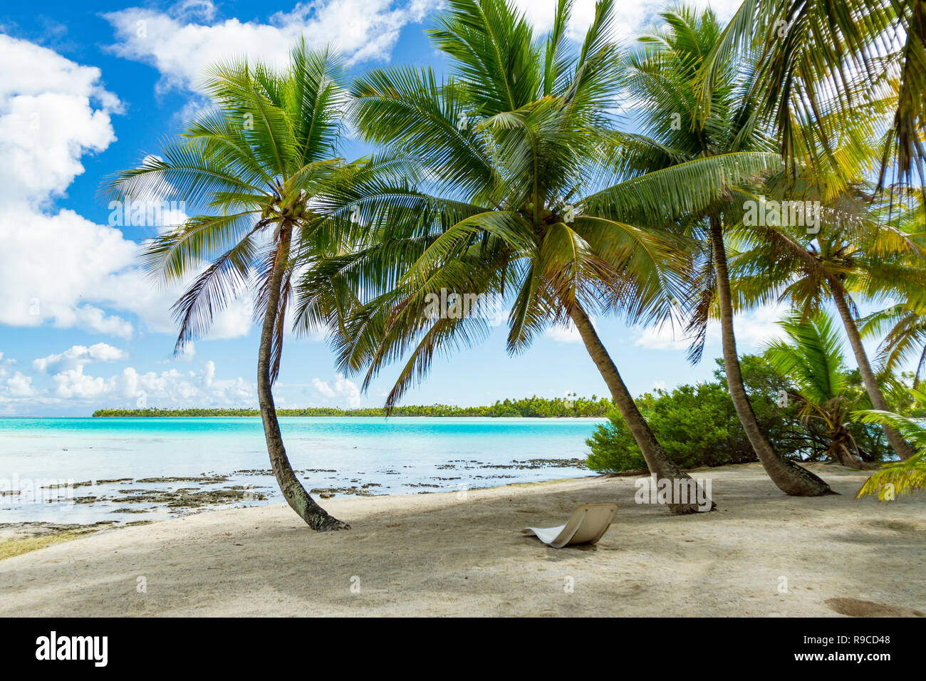 Lagon bleu d'atoll de Rangiroa, Tuamotu, Polynésie française. Banque D'Images