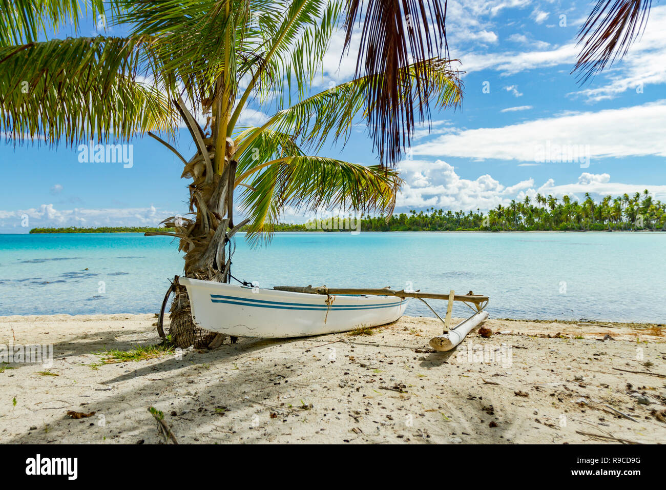 Lagon bleu d'atoll de Rangiroa, Tuamotu, Polynésie française. Banque D'Images