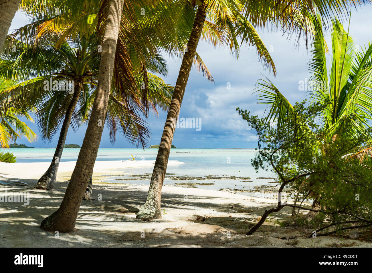 Lagon bleu d'atoll de Rangiroa, Tuamotu, Polynésie française. Banque D'Images