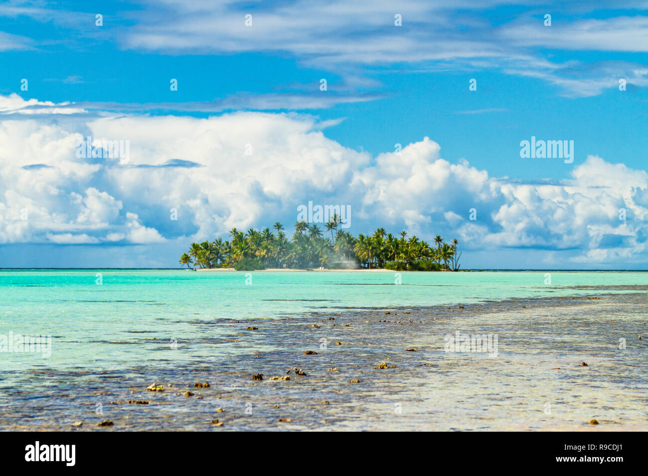 Lagon bleu d'atoll de Rangiroa, Tuamotu, Polynésie française. Banque D'Images