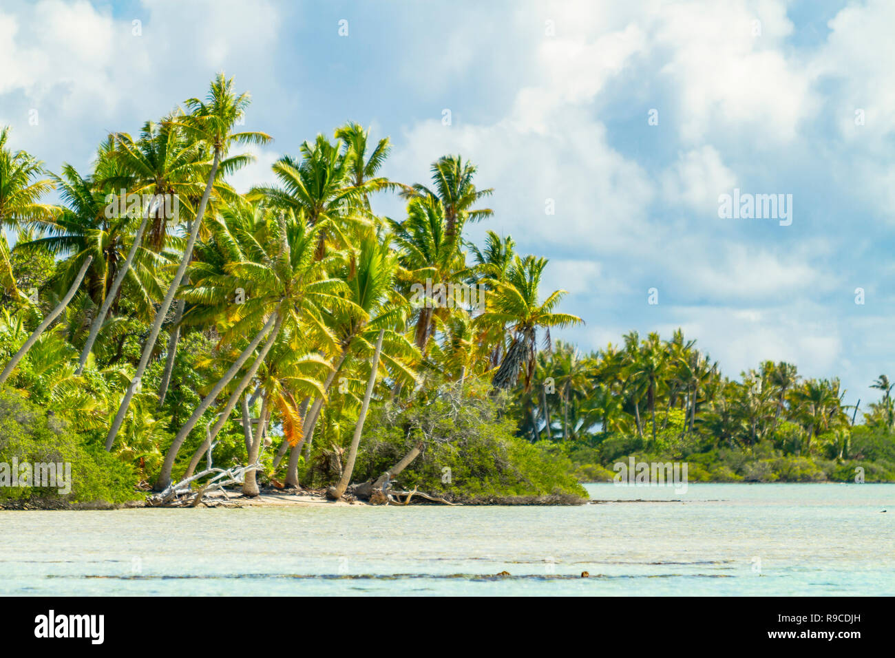 Lagon bleu d'atoll de Rangiroa, Tuamotu, Polynésie française. Banque D'Images