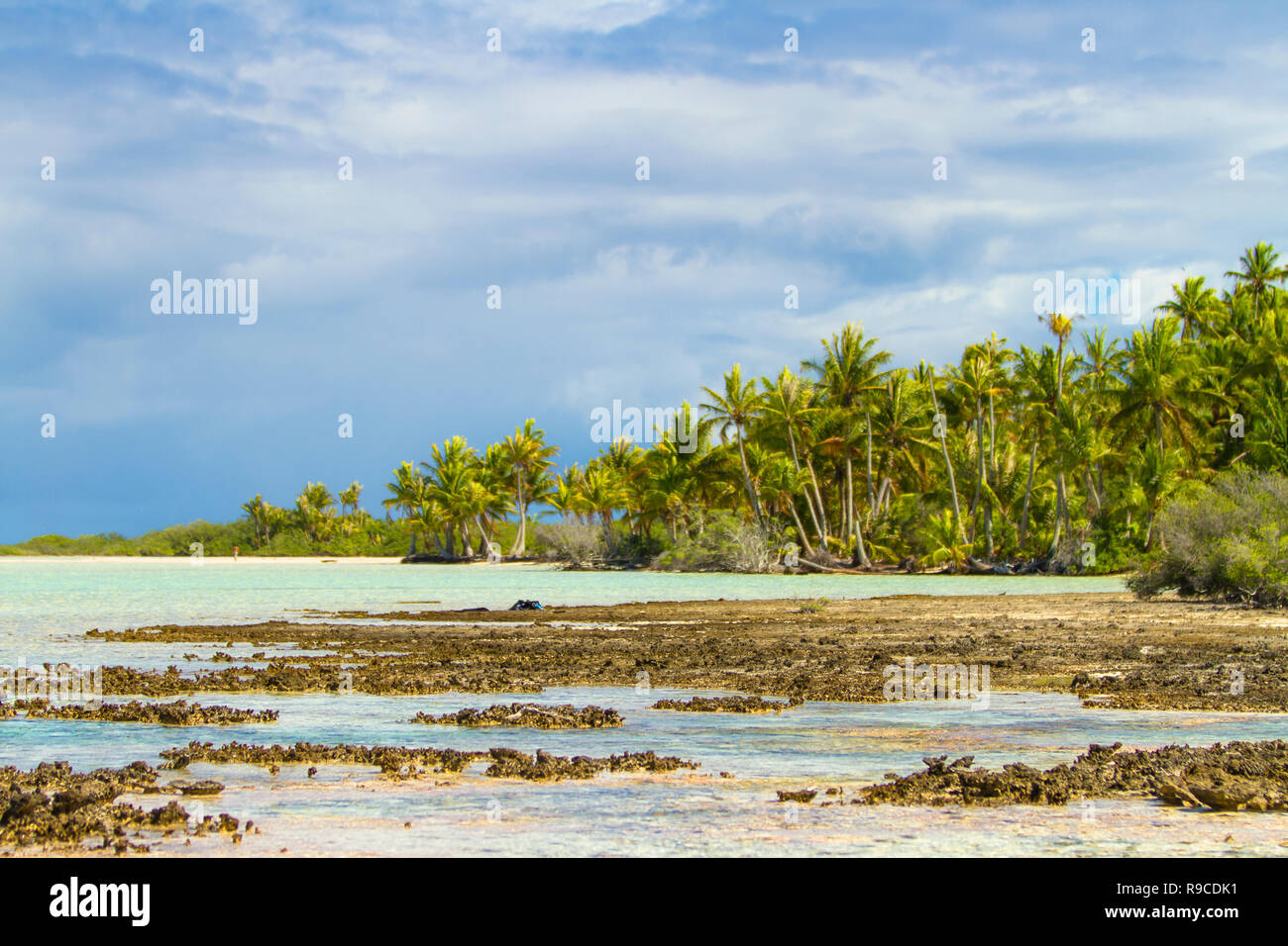 Lagon bleu d'atoll de Rangiroa, Tuamotu, Polynésie française. Banque D'Images