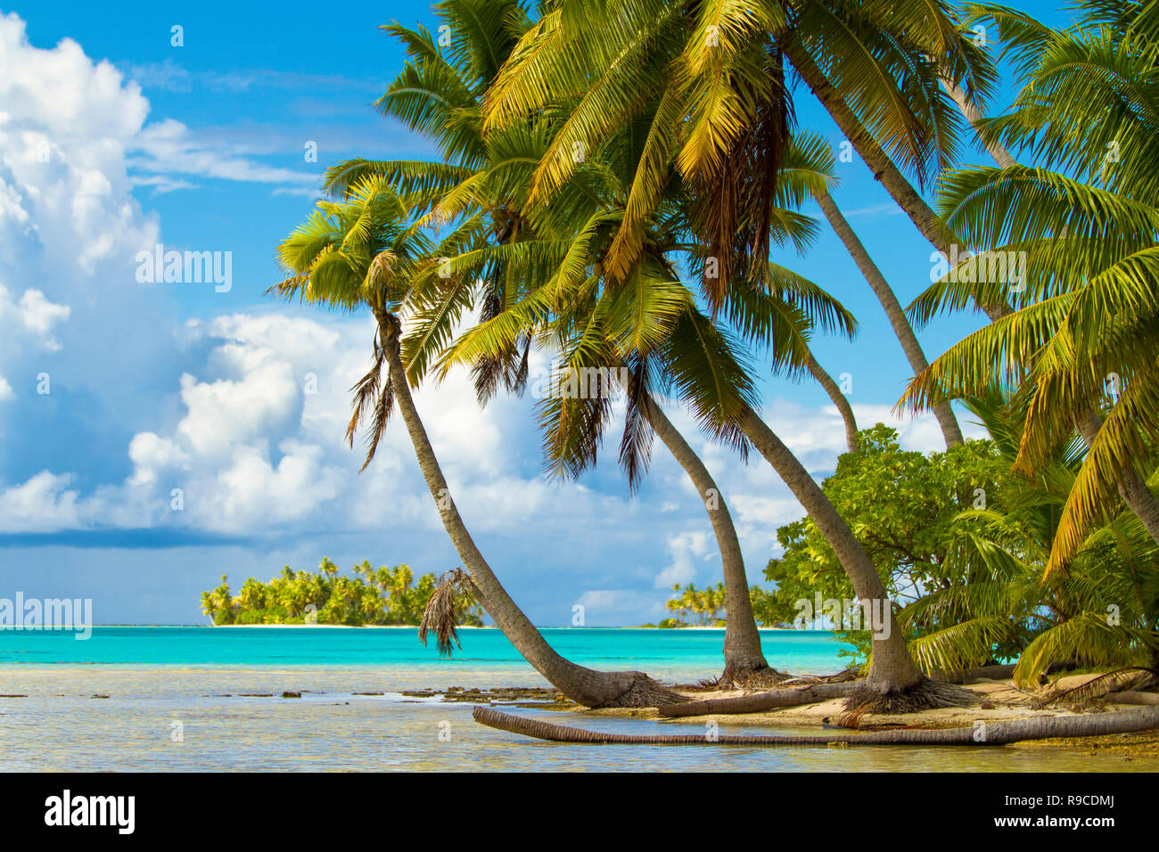 Lagon bleu d'atoll de Rangiroa, Tuamotu, Polynésie française. Banque D'Images