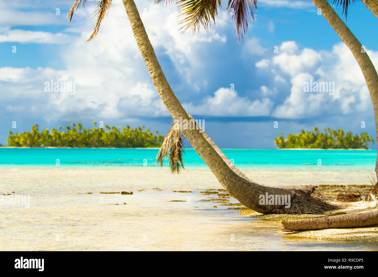 Lagon bleu d'atoll de Rangiroa, Tuamotu, Polynésie française. Banque D'Images