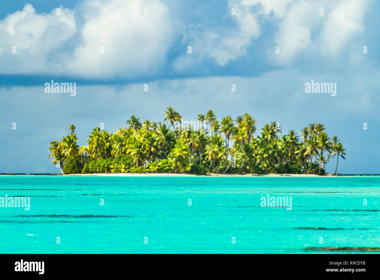 Lagon bleu d'atoll de Rangiroa, Tuamotu, Polynésie française. Banque D'Images