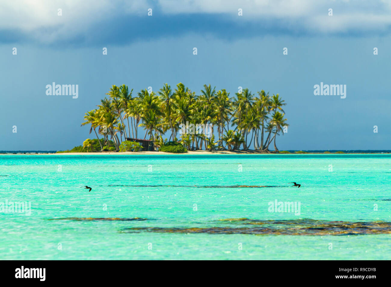 Lagon bleu d'atoll de Rangiroa, Tuamotu, Polynésie française. Banque D'Images