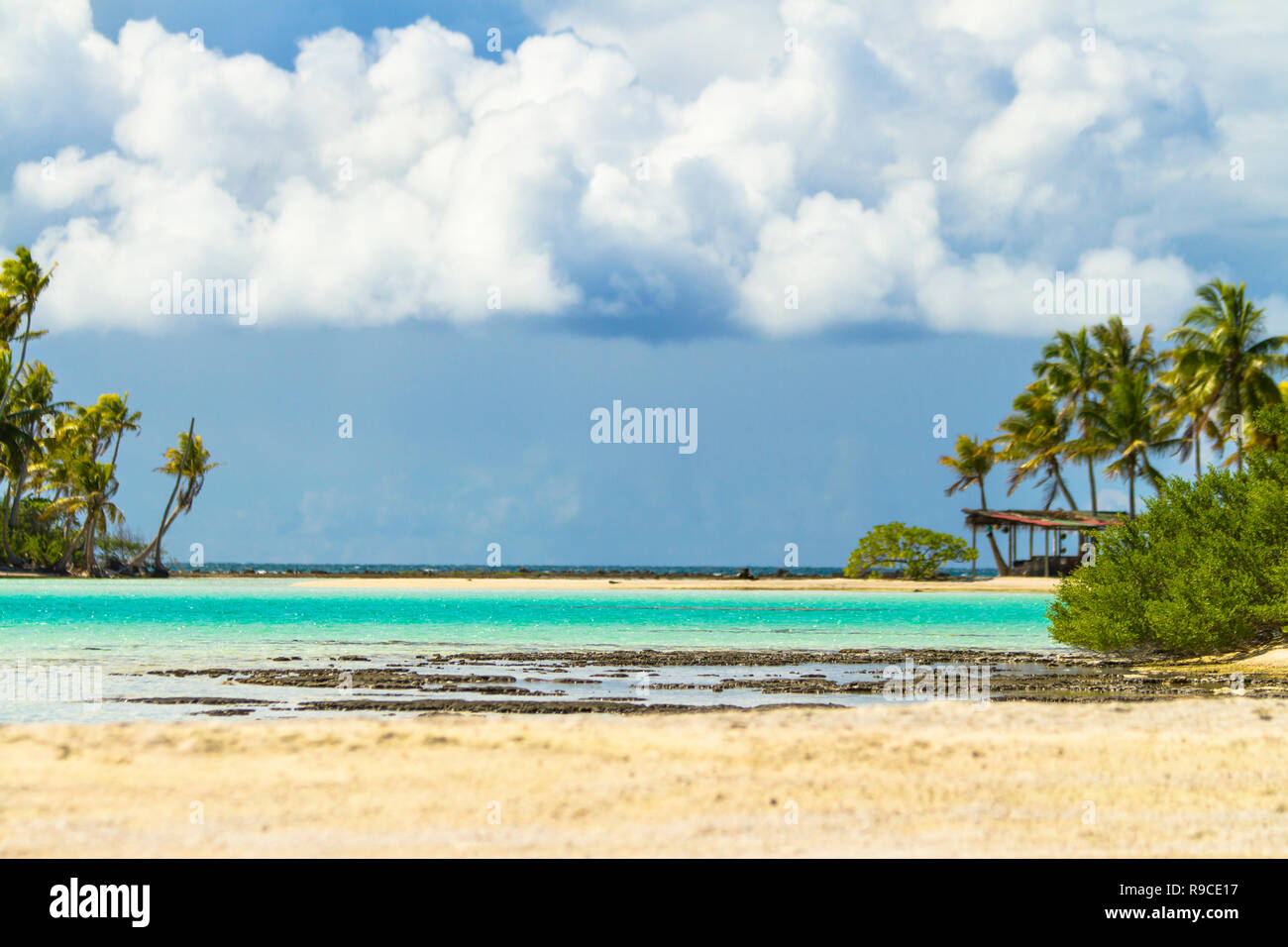 Lagon bleu d'atoll de Rangiroa, Tuamotu, Polynésie française. Banque D'Images