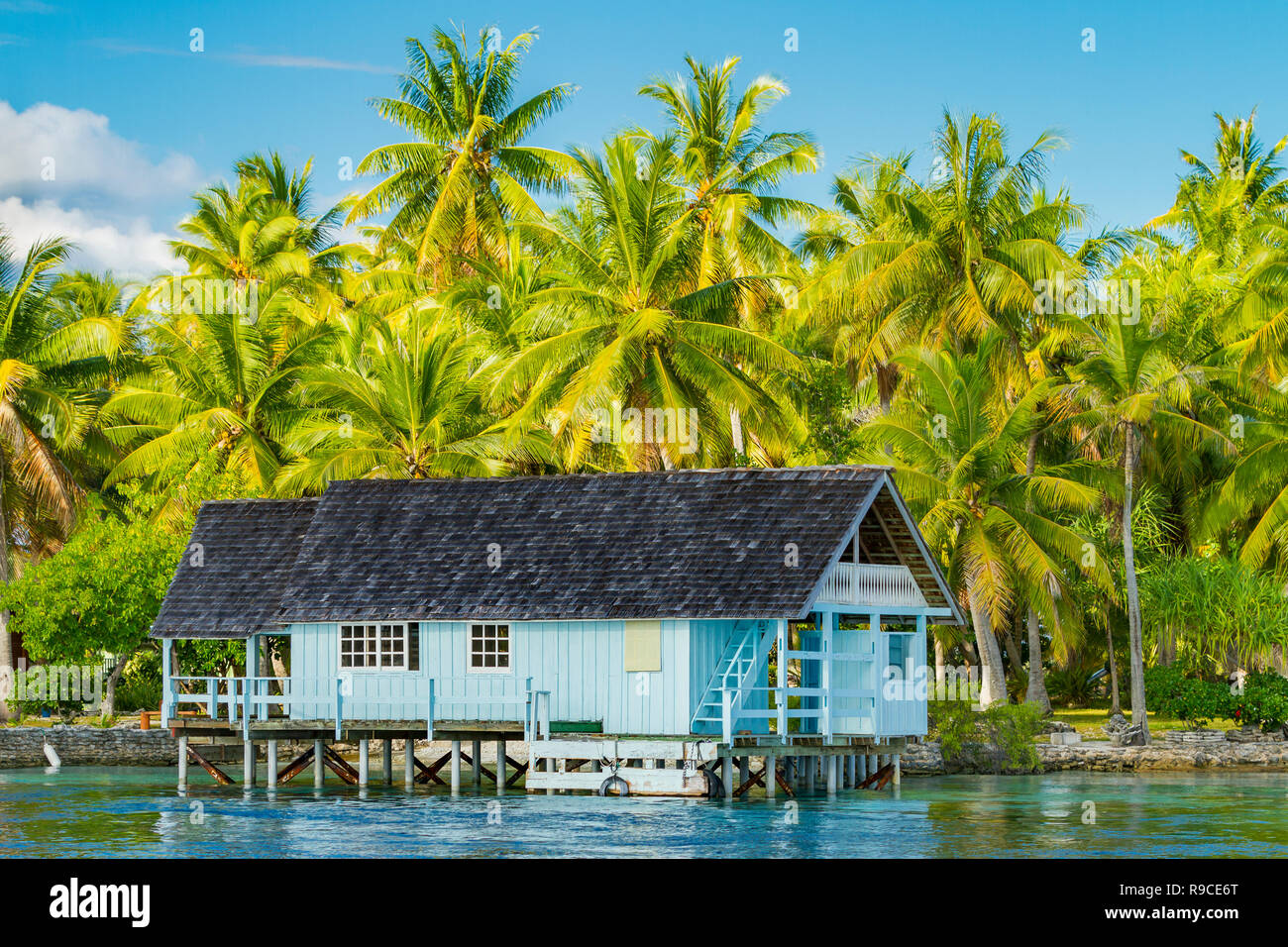 Lagon bleu d'atoll de Rangiroa, Tuamotu, Polynésie française. Banque D'Images