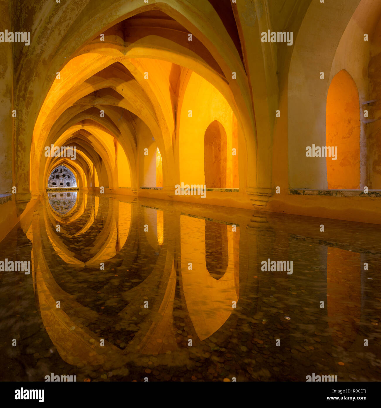 My Image 25