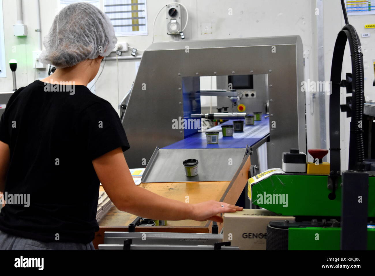 Travailleur de l'usine alimentaire/pesto de basilic, d'emballage de produit fini Banque D'Images