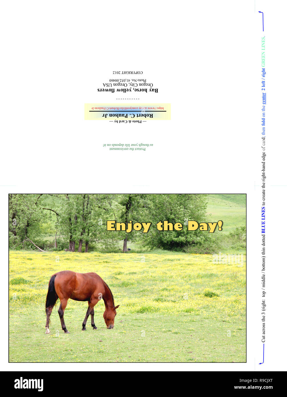 Carte de Vœux 41 052,00460, profiter de la journée (pli coupe d'impression pour 7x5 photo), cheval brun, fleurs jaune vert pâturage, arbres bkgr, petite colline & valley Banque D'Images