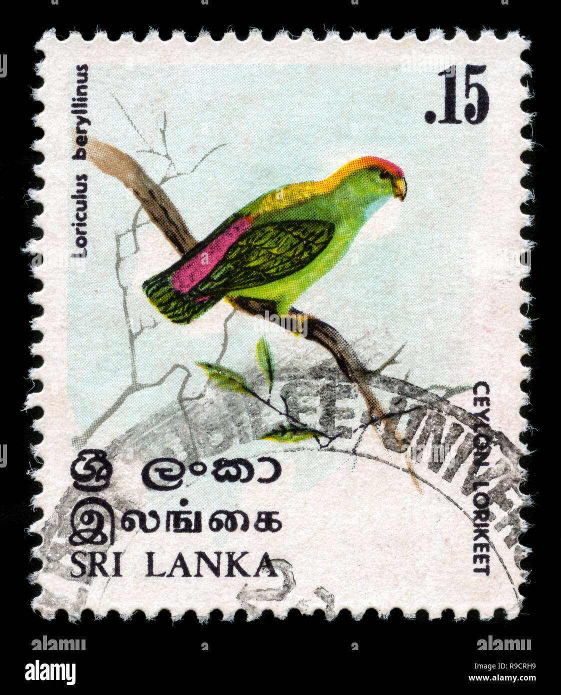 Timbre Cachet du Sri Lanka dans la série des Oiseaux 1979 Banque D'Images