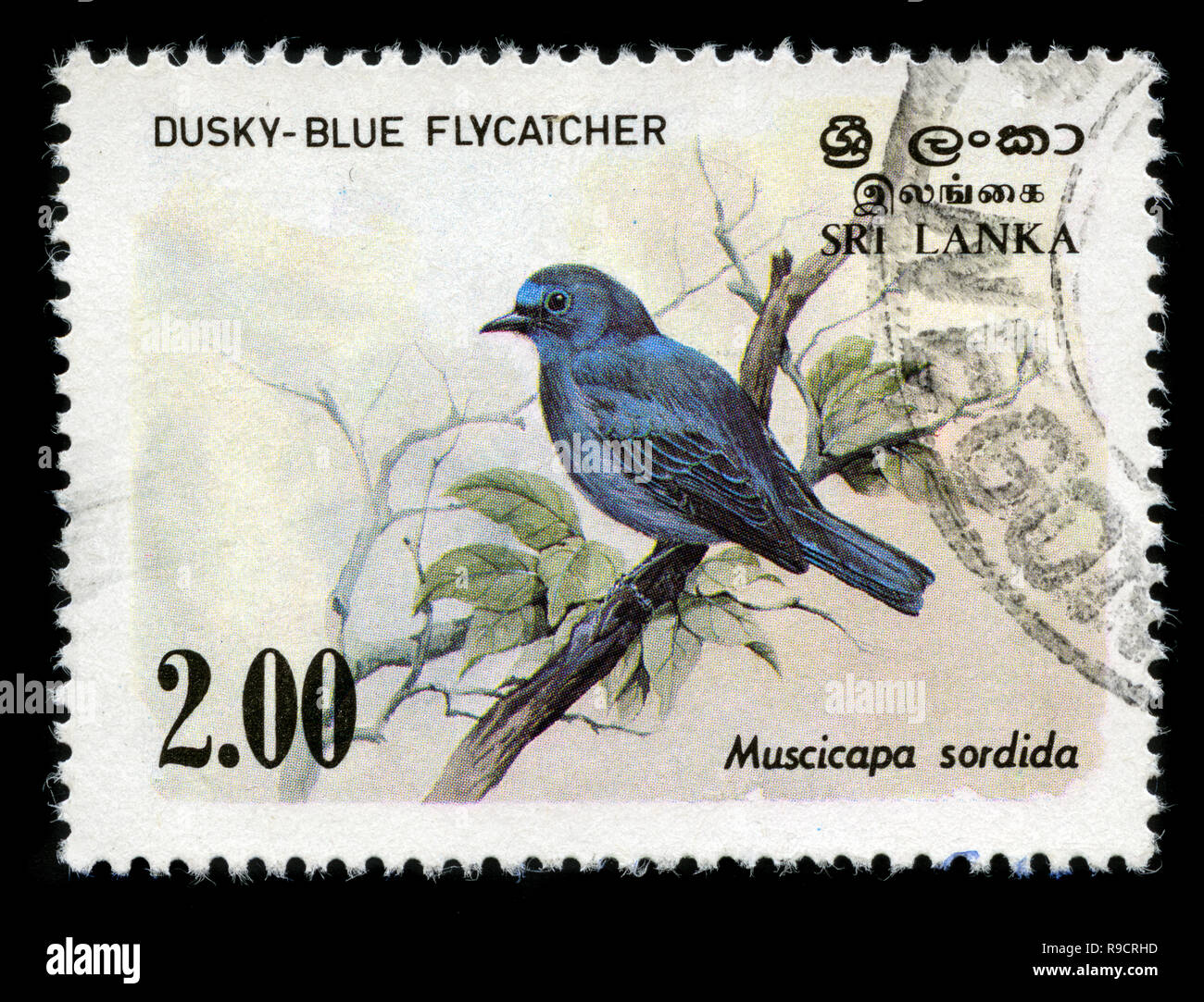 Timbre-poste du Sri Lanka dans la série des Oiseaux 1983 Banque D'Images