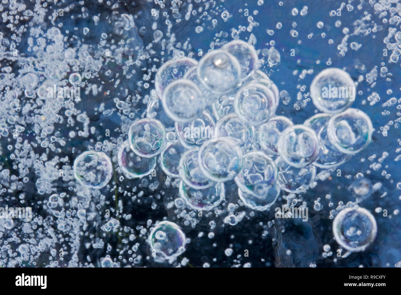 Grandes et petites bulles de gaz capturés dans la glace bleue Banque D'Images