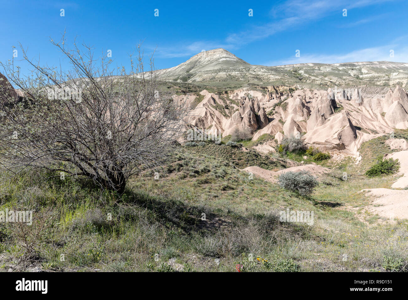 Les formations volcaniques naturelles situées en Turquie kapadokya Vallée Devrent vallée de rêve autre nom. Banque D'Images