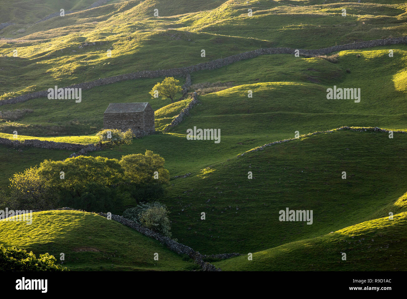 Grenier ; près de Muker ; Swaledale ; Yorkshire ; UK Banque D'Images