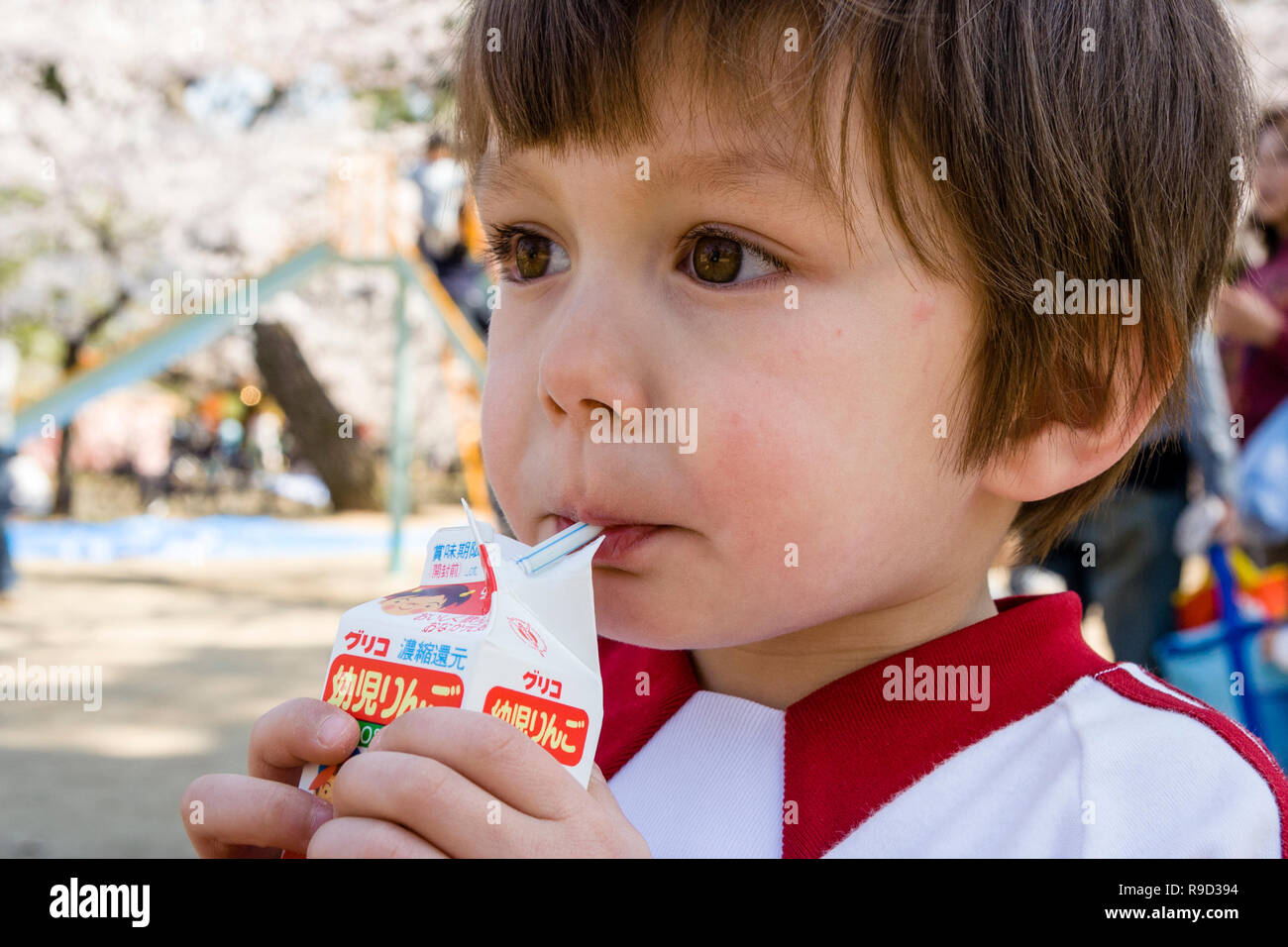 Japanese-Caucasian enfant, garçon, 4-5 ans, mixed race, la tête et les épaules, à l'extérieur. Tenant un petit carton de fruits et d'alcool en raison de la paille. Banque D'Images