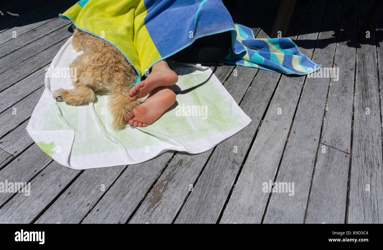 Les amis, le chien et le garçon, endormi sous la queue et les pieds juste serviette montrant. Banque D'Images