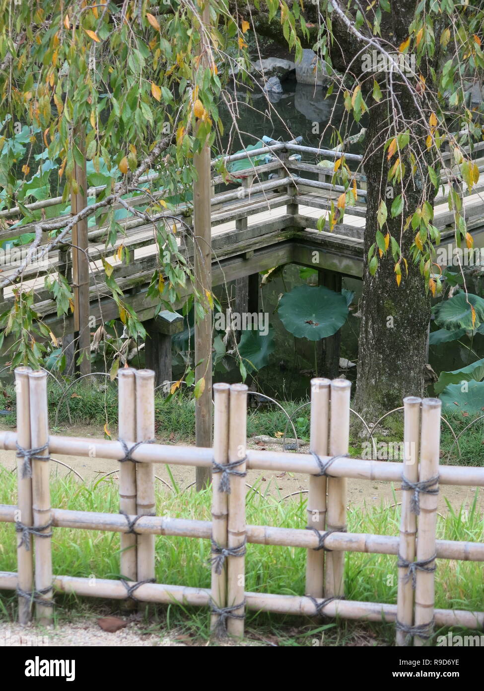 Photo Le Jardin Korakuen à Okayama, l'un des trois grands jardins du Japon ; willow tree, pont et clôture bambou Banque D'Images