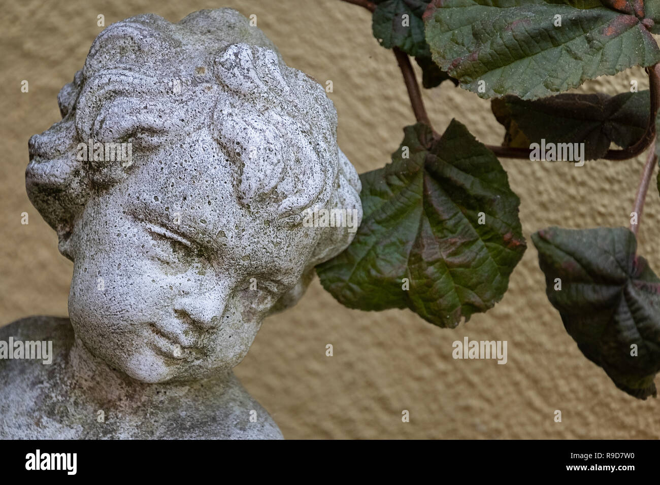 La figure de pierre dans un jardin angel Banque D'Images