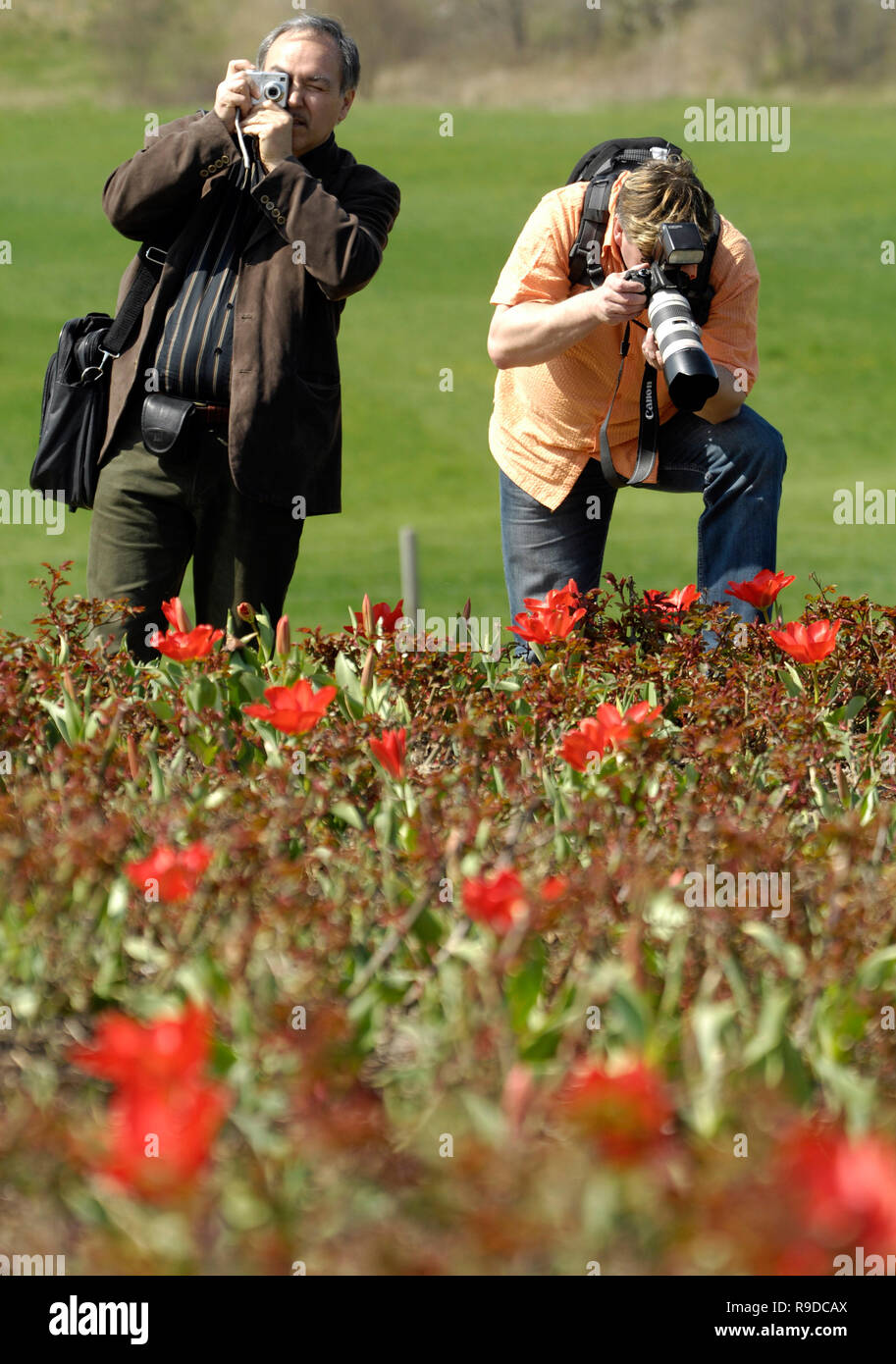 12.04.2007, Gera, Saxe, Allemagne - BUGA 2007 à Gera et Ronneburg. 0UX060207D443CAROEX.JPG [communiqué de modèle : Non, des biens : non (c) une photo de Caro Banque D'Images 12.04.2007, Gera, Saxe, Allemagne - BUGA 2007 à Gera et Ronneburg. 0UX060207D443CAROEX.JPG [communiqué de modèle : Non, des biens : non (c) une photo de Caro Banque D'Images