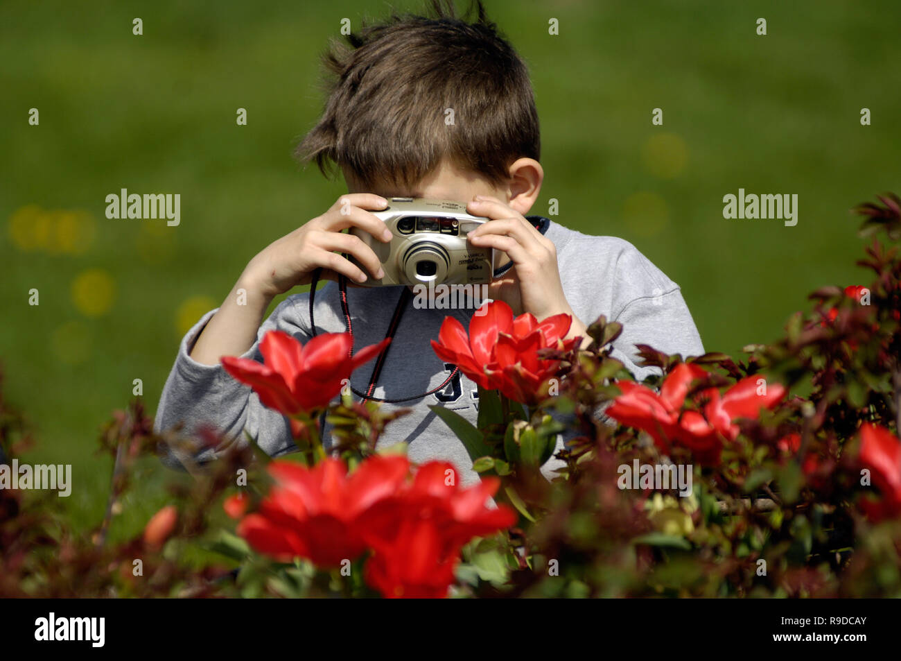 12.04.2007, Gera, Saxe, Allemagne - BUGA 2007 à Gera et Ronneburg. 0UX060207D444CAROEX.JPG [communiqué de modèle : Non, des biens : non (c) une photo de Caro Banque D'Images 12.04.2007, Gera, Saxe, Allemagne - BUGA 2007 à Gera et Ronneburg. 0UX060207D444CAROEX.JPG [communiqué de modèle : Non, des biens : non (c) une photo de Caro Banque D'Images