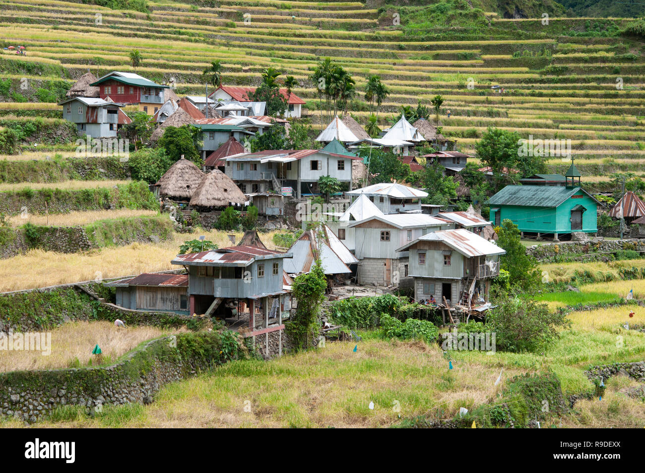 Les terrasses de riz de Batad, Province d'Ifugao, Cordillera, Luzon, Philippines, Asie, Asie du Sud, UNESCO World Heritage Banque D'Images