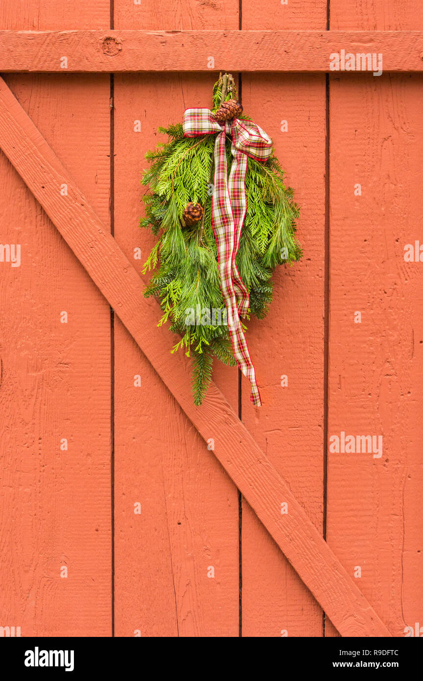 Evergreen naturelles traditionnelles avec swag Noël ruban à carreaux accrochées sur orange peint clôture de bois. Banque D'Images