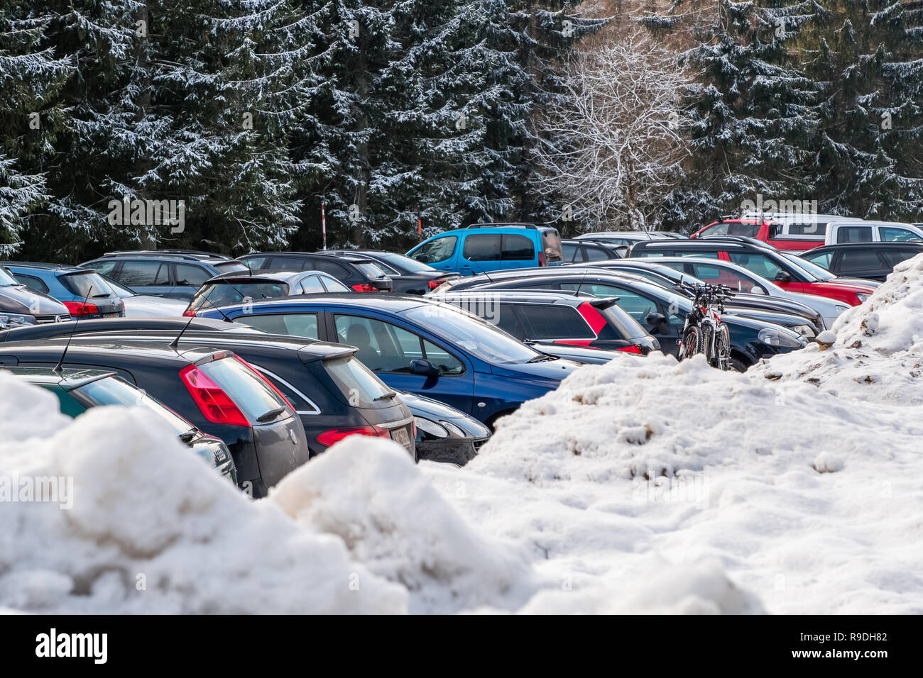 Nationalpark Harz im Winter Oderteich Banque D'Images