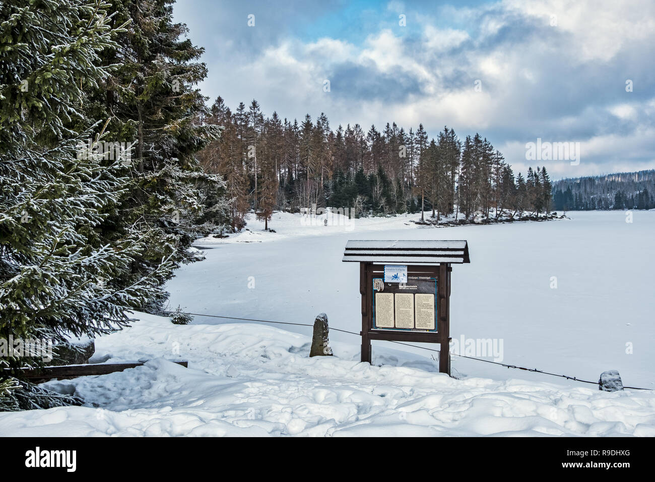 Nationalpark Harz im Winter Oderteich Banque D'Images