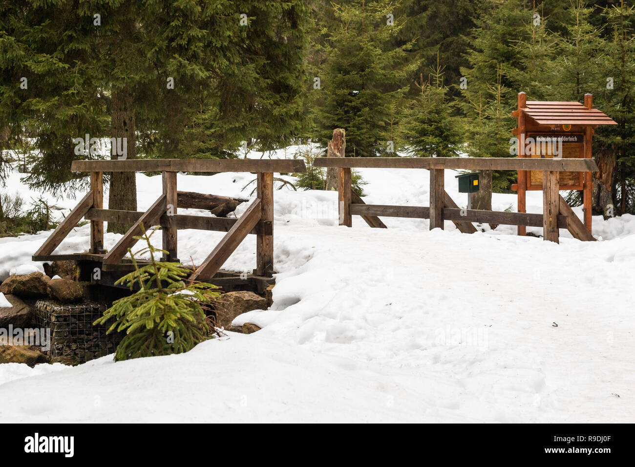 Nationalpark Harz im Winter Oderteich Banque D'Images