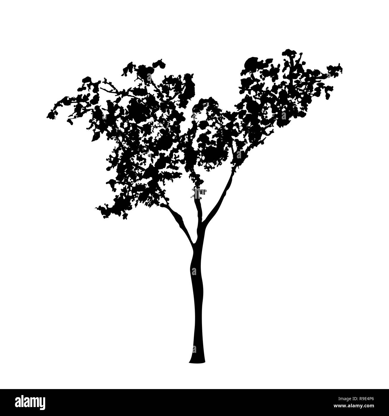 Green Tree silhouette, handdrawn aquarelle éclaboussures, isolé sur fond blanc. Vector illustration artistique Illustration de Vecteur