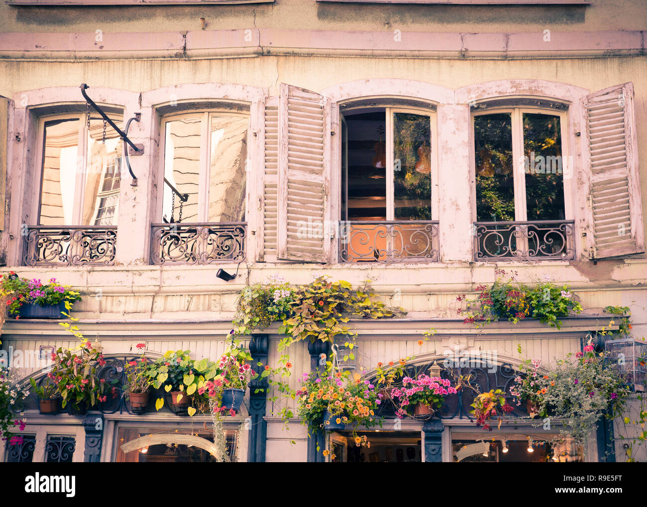 Charmant bâtiment façade avec fenêtres, volets et de plantes de l'ancien bâtiment en France Banque D'Images