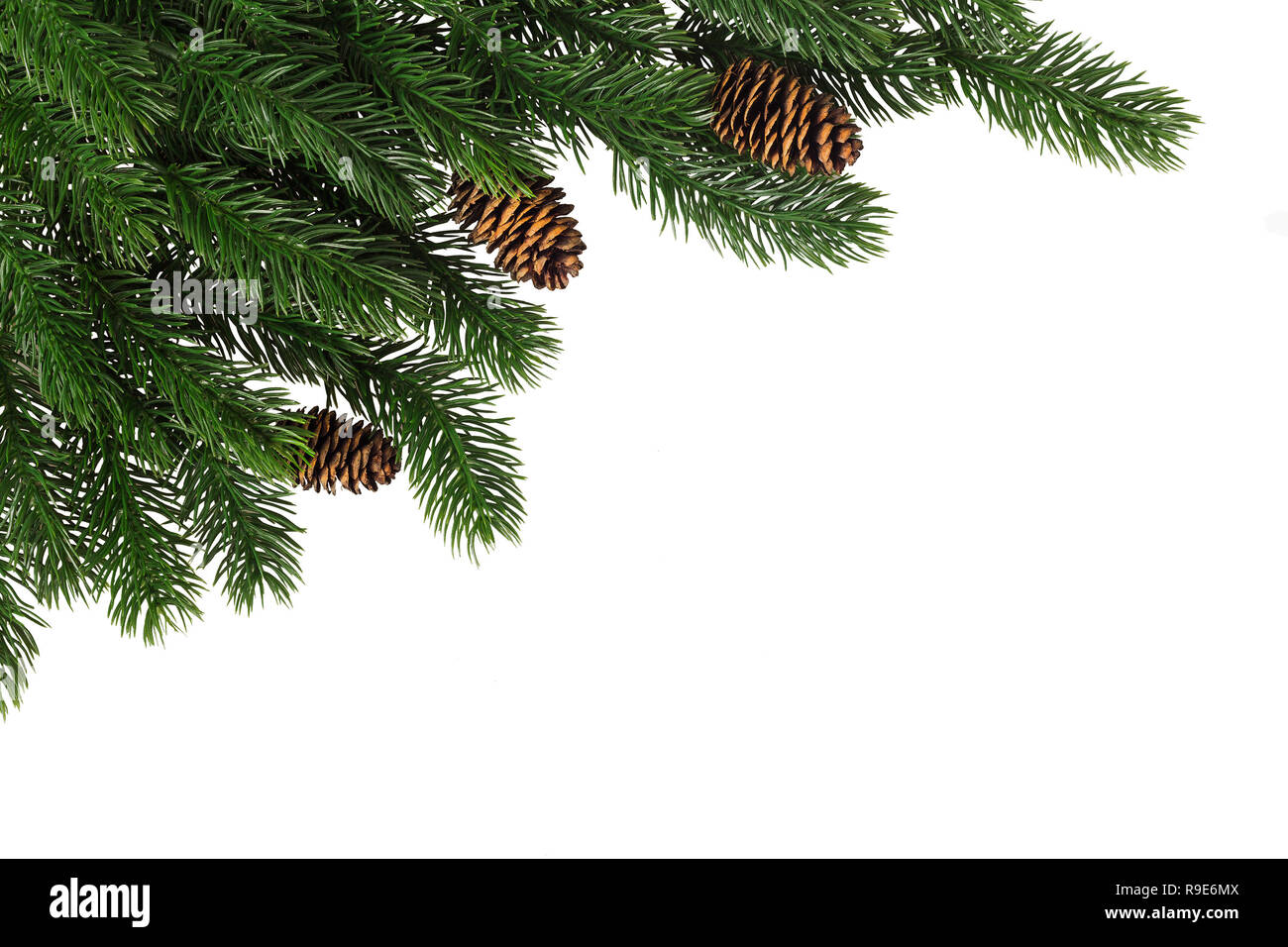 Branches de sapin avec les cônes dans le coin isolé sur fond blanc. Modèle de carte de Nouvel An. Banque D'Images